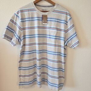 Patagonia Gray Tee with Blue and Red Stripes